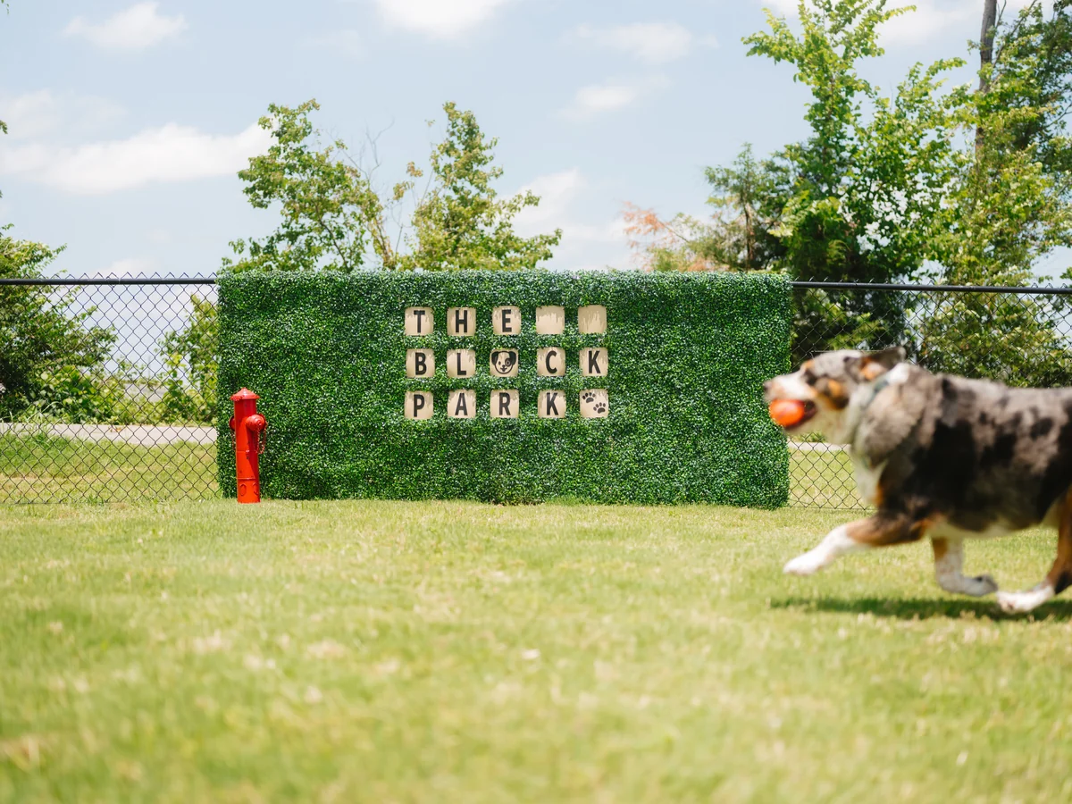 THE BLOCK PARK sign with a dog running at THE BLOCK HOTEL's on-site dog park